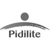 Pidilite